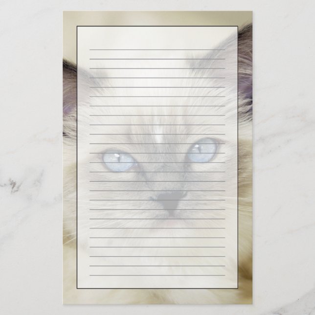 Ragdoll-Kätzchen Briefpapier (Vorderseite)