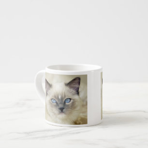 Ragdoll-Kätzchen Espressotasse