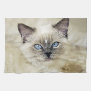 Ragdoll-Kätzchen Handtuch