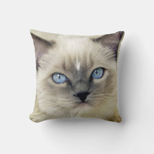 Ragdoll-Kätzchen Kissen
