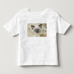 Ragdoll-Kätzchen Kleinkind T-shirt