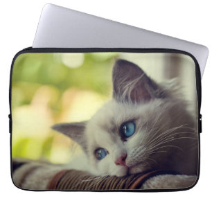 Ragdoll Kätzchen Laptopschutzhülle