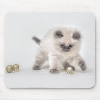Ragdoll Kätzchen mousepad