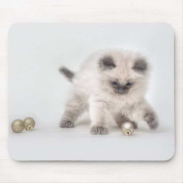 Ragdoll Kätzchen mousepad (Vorne)