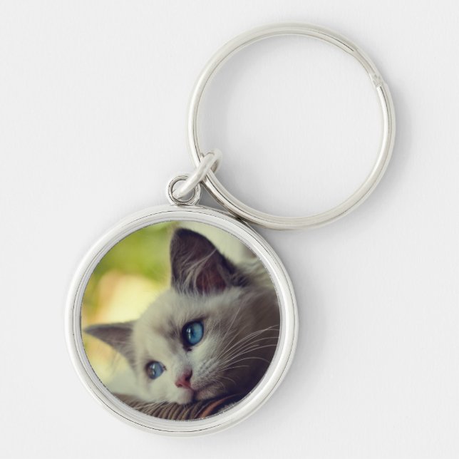 Ragdoll Kätzchen Schlüsselanhänger (Vorne)