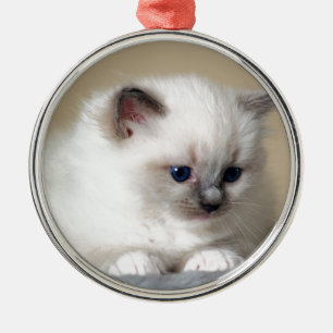 Ragdoll Kätzchen Silbernes Ornament