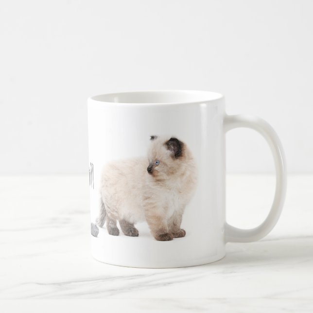 Ragdoll Kätzchen-Skizze-Tasse Tasse (Rechts)