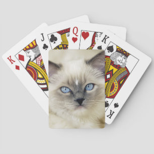 Ragdoll-Kätzchen Spielkarten