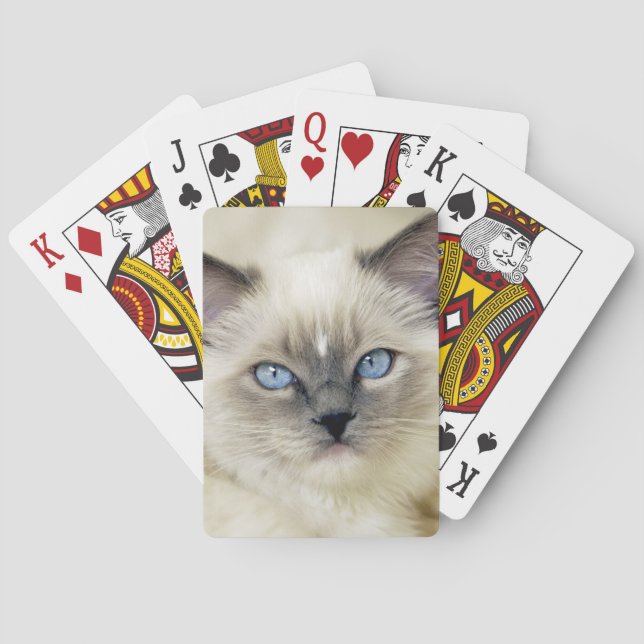 Ragdoll-Kätzchen Spielkarten (Rückseite)