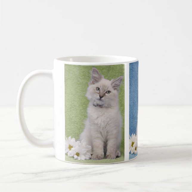 Ragdoll Kätzchen-Tasse Tasse (Links)