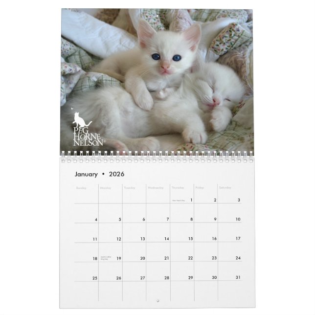 Ragdoll Kätzchen Vol. Ein Kalender (Jan 2026)