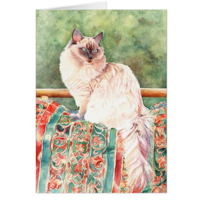 "Ragdoll" Katze (Vorne)