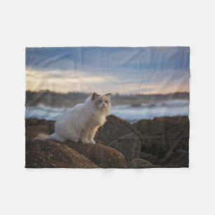 Ragdoll Katze am Strand Fleecedecke