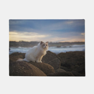 Ragdoll Katze am Strand Fußmatte