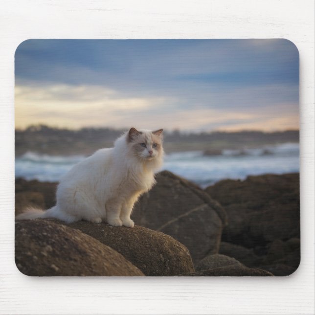 Ragdoll Katze am Strand Mousepad (Vorne)
