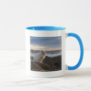 Ragdoll Katze am Strand Tasse