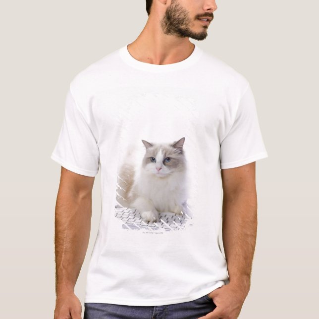 Ragdoll Katze auf Computertastatur T-Shirt (Vorderseite)