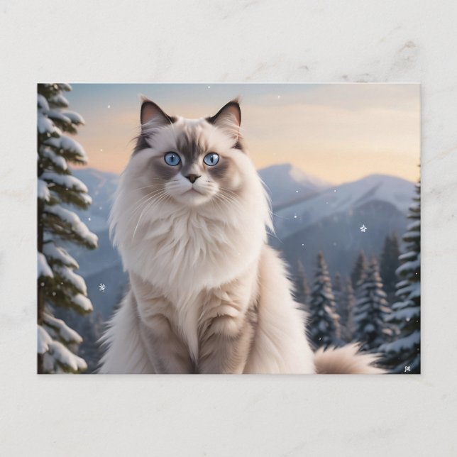 Ragdoll Katze auf dem Snowy Mountain mit Serene Wi Postkarte (Vorderseite)