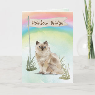 Ragdoll Katze Beileid über Regenbogenbrücke Karte