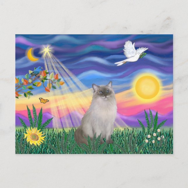 Ragdoll-Katze (Blue Point) Postkarte (Vorderseite)