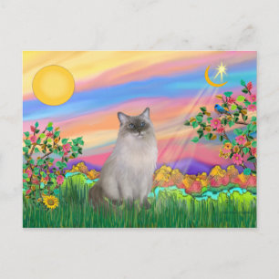Ragdoll-Katze (Blue Point) - Tagesstern Postkarte