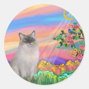 Ragdoll-Katze (Blue Point) - Tagesstern Runder Aufkleber