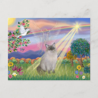 Ragdoll-Katze (Blue Point) - Wolkenengel Postkarte
