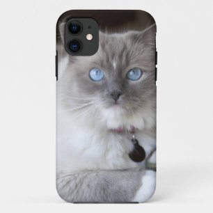Ragdoll-Katze Case-Mate iPhone Hülle