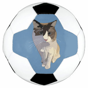 Ragdoll-Katze, Dusty Blue Fußball