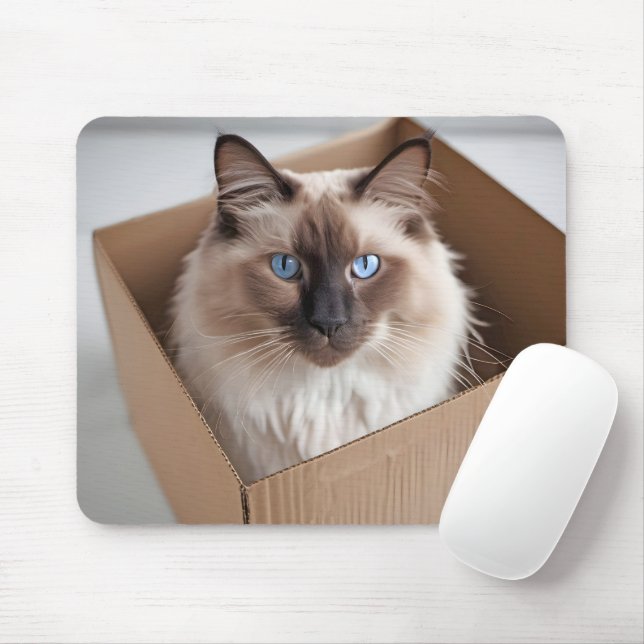 Ragdoll Katze in Faltschachtel Mousepad (Mit Mouse)