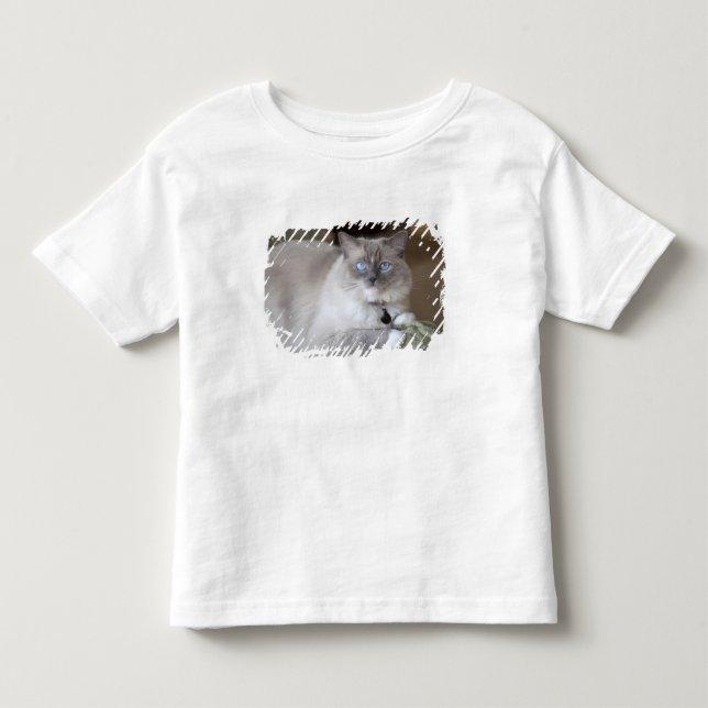 Ragdoll-Katze Kleinkind T-shirt (Vorderseite)