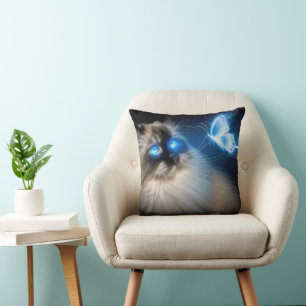Ragdoll Katze mit blauem Neoplattfliege Kissen