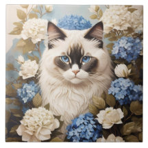 Ragdoll Katze mit Blue Hydrangea-Blume