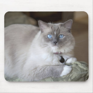 Ragdoll-Katze Mousepad