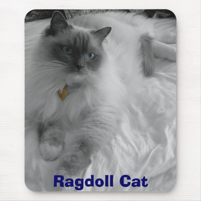Ragdoll Katze Mousepad (Vorne)