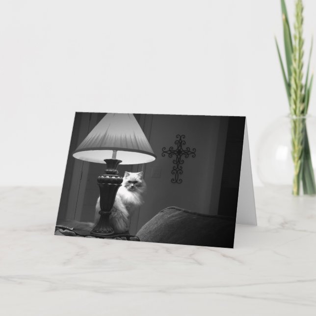 Ragdoll Katze/Noir Karte (Vorderseite)