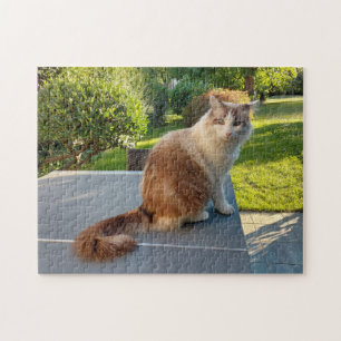 Ragdoll-Katze Puzzle