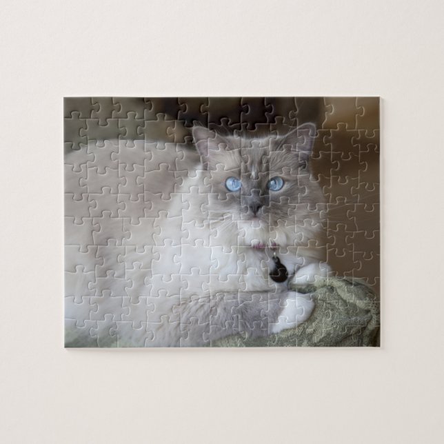 Ragdoll-Katze Puzzle (Horizontal)