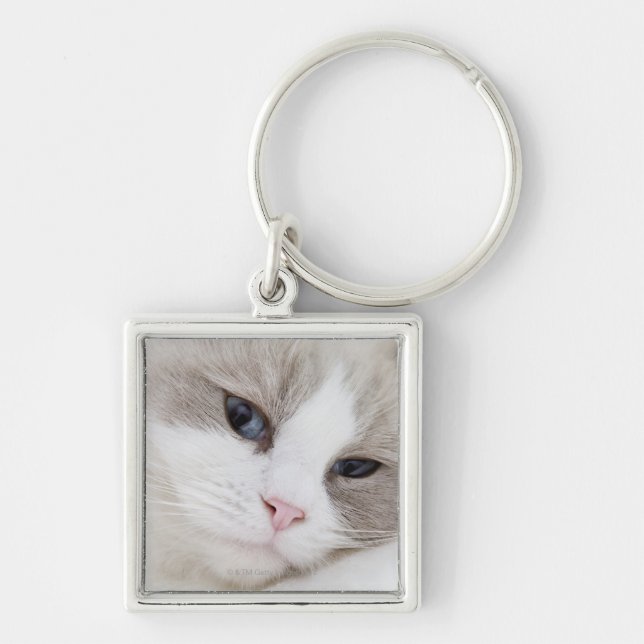Ragdoll Katze Schlüsselanhänger (Vorne)