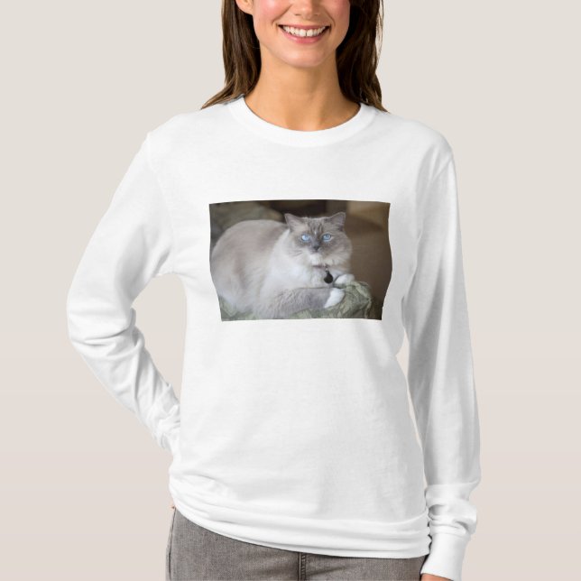 Ragdoll-Katze T-Shirt (Vorderseite)