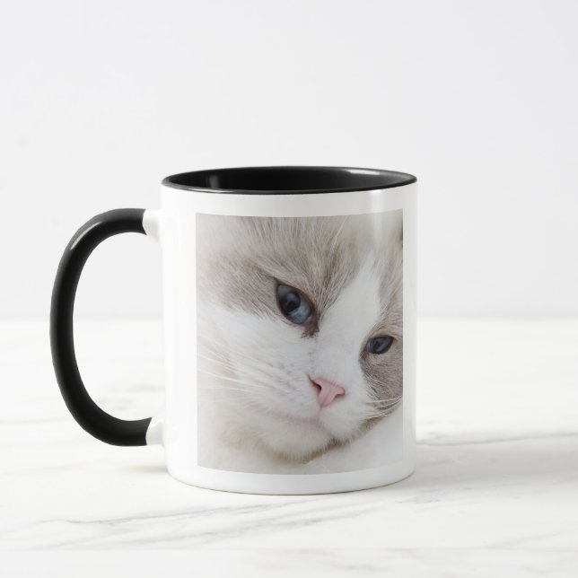 Ragdoll Katze Tasse (Links)