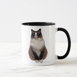 Ragdoll Katze Tasse