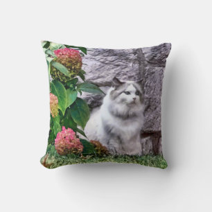 Ragdoll-Katze von Hydrangea Kissen
