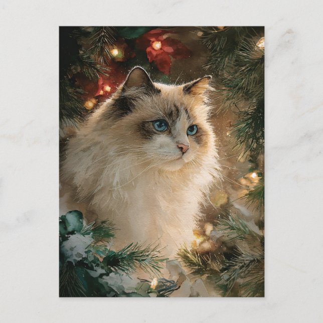 Ragdoll-Katze Weihnachten Postkarte (Vorderseite)