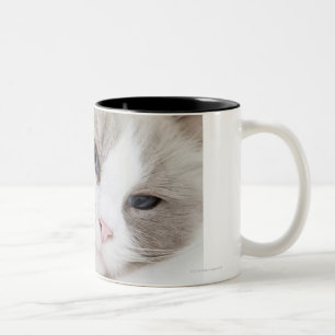 Ragdoll Katze Zweifarbige Tasse