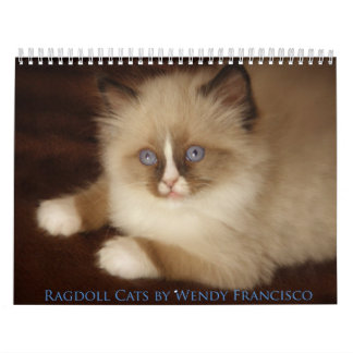 Ragdoll Katzen-Kalender Kalender