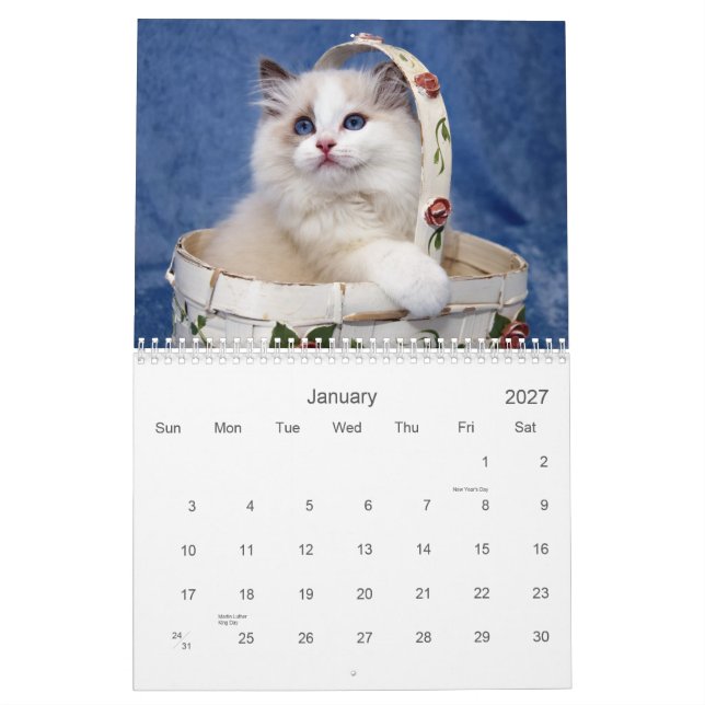 Ragdoll Katzen-Kalender Kalender (Jan 2027)