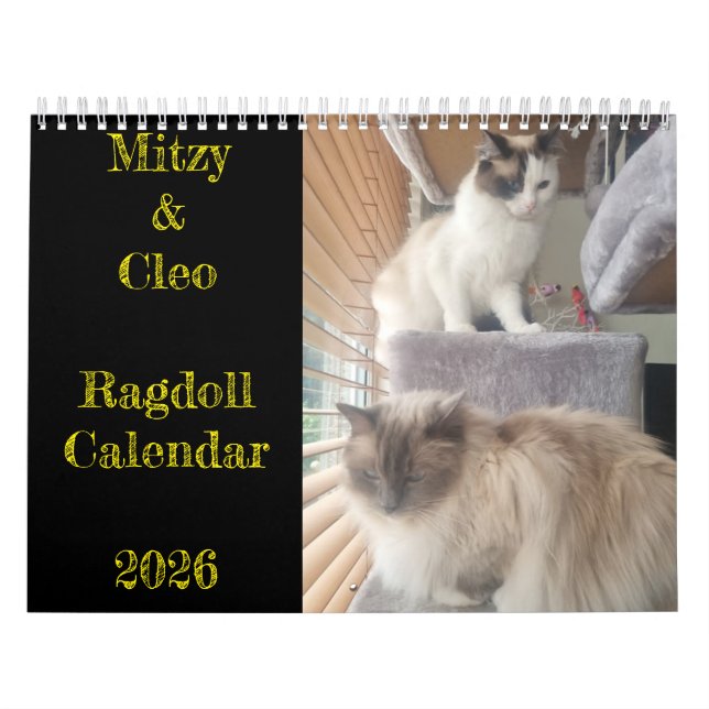 Ragdoll-Katzenkalender Kalender (Titelbild)