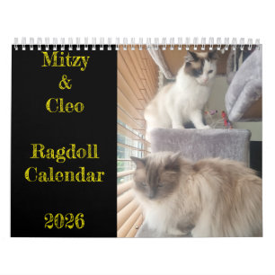Ragdoll-Katzenkalender Kalender