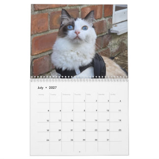 Ragdoll-Katzenkalender Kalender